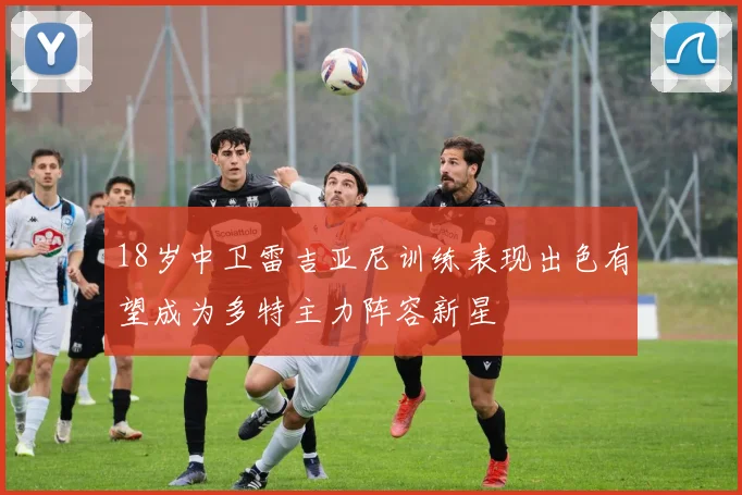 18岁中卫雷吉亚尼训练表现出色有望成为多特主力阵容新星