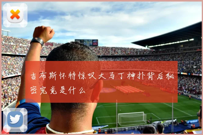 吉布斯怀特惊叹大马丁神扑背后秘密究竟是什么